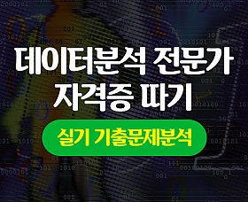 [HD]데이터분석 전문가(ADP) 자격증 따기 (실기 기출문제분석) 2022 대비