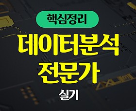 핵심정리 - 데이터분석 전문가(ADP) 자격증 따기 - 실기 (2024) (完)